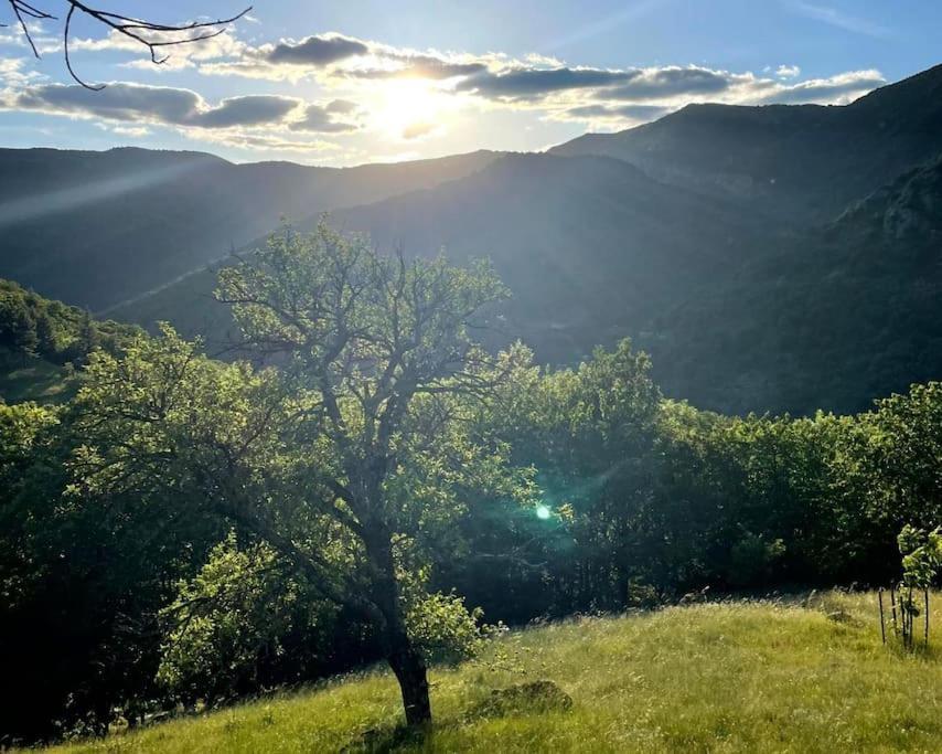 Gîte des Sausses dans une nature préservée Burzet Extérieur photo