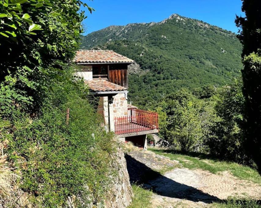 Gîte des Sausses dans une nature préservée Burzet Extérieur photo